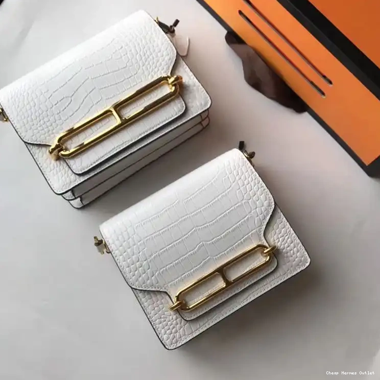 Hermes Leather Gold In Bag Hardware Roulis Alligator White 0404